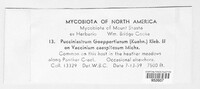 Calyptospora columnaris image